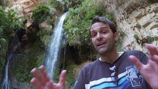 Why is Ein Gedi so historically significant [upl. by Aekal]