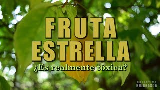 La Fruta Estrella ¿Es realmente tóxica  Documental Flora [upl. by Verla]