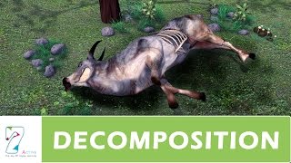 DECOMPOSITION  PART 01 [upl. by Enileoj]