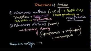 Bacillus anthracis treatment [upl. by Kenwood]