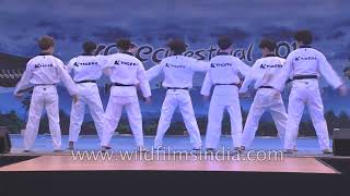 Taekwondo performance by KTigers from Korea [upl. by Feune]