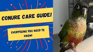 Conure Care Guide  Everything You Need To Know  TheParrotTeacher [upl. by Deerc37]