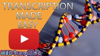 Transcription Made Easy From DNA to RNA 2019 [upl. by Akimaj]