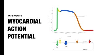 Ventricular Action Potential  Medzcool [upl. by Dong833]