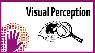 Visual Perception – How It Works [upl. by Mckale]