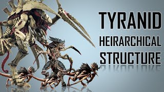 13 Ranks in a Tyranid Hierarchy Warhammer 40K [upl. by Onileba123]