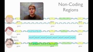 DNA Fingerprinting [upl. by Leamhsi]