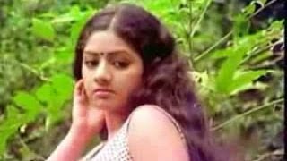 Ilamai Yennum Poongatru Video Song  Pakalil Oru Iravu Movie [upl. by Rebmyk413]