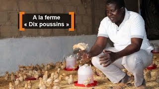 Burkina Faso  A la ferme « Dix poussins » [upl. by Kermit446]