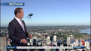 Weather anchor surprised by spider [upl. by Tod]