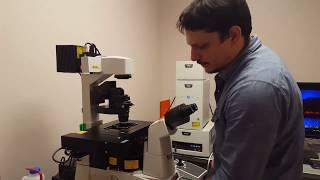 Confocal Microscopy Tutorial Part 1 Getting Started  Basic Operation [upl. by Dohsar957]