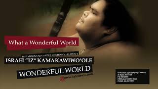 OFFICIAL Israel quotIZquot Kamakawiwoʻole  quotWonderful Worldquot [upl. by Arfihs]