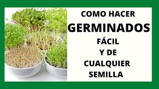 COMO HACER GERMINADOS FÁCIL Y DE CUALQUIER SEMILLA BROTES [upl. by Tomkin]