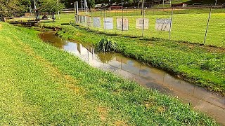 Fishing the Creek YOU Drive OVER Tiny Creek [upl. by Mokas91]