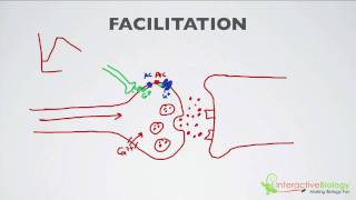 020 Facilitation [upl. by Yelram]