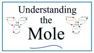 Understanding the Mole the basics [upl. by Nara279]