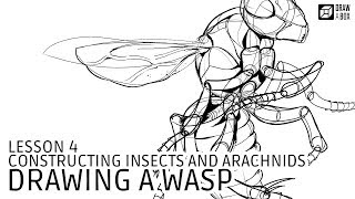 Drawabox Lesson 4 Drawing a Wasp [upl. by Reba]