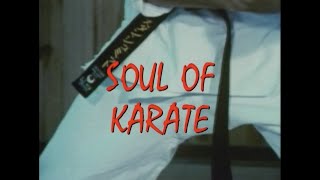 The Soul of Karate [upl. by Nilhtac]