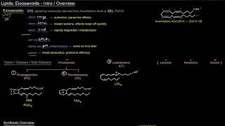 Eicosanoids  Intro  Overview free sample [upl. by Thisbe]