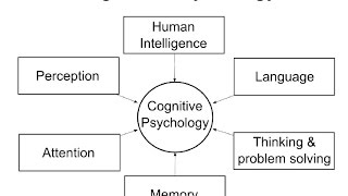 Cognitive Psychology Introduction [upl. by Samy]