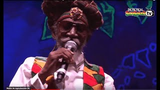 BUNNY WAILER amp The Solomonic Orchestra live  Main Stage 2015 [upl. by Tennes]