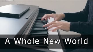 Aladdin  A Whole New World Piano Cover by Riyandi Kusuma [upl. by Yelac]