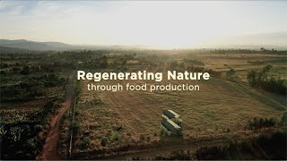 Regenerative Farming in Kenya  Circular food systems in East Africa 15 [upl. by Aeuhsoj11]