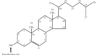 Biochem Second  drsameer  Derived lipids amp Eicosanoids [upl. by Dyanna267]