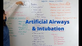 Artificial Airways amp Intubation [upl. by Nivra721]