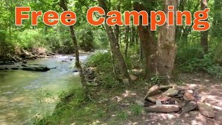 Free Camping in North Carolina at the Basin Creek Camping Area [upl. by Mile191]