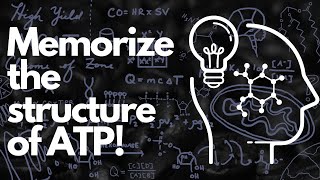 Biochemical Structure of ATP  MCAT [upl. by Janine858]