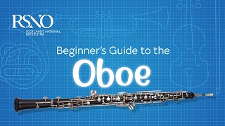 How To Play The Oboe A RSNO Beginners Guide [upl. by Marianne45]