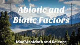 Difference between Abiotic and Biotic Factors [upl. by Prosper54]