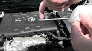 How to check the oil level on a Vauxhall Insignia 2014 CDTi 20 Diesel Auto [upl. by Neelsaj756]