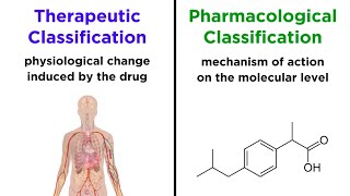 Categorizing Drugs Classes Names and Schedules [upl. by Frydman446]