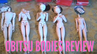 Junky Spot 2527cm Obitsu Bodies BJD REVIEW [upl. by Ytirev638]