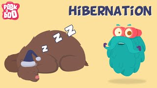 Hibernation  The Dr Binocs Show  Learn Videos For Kids [upl. by Dilaw]