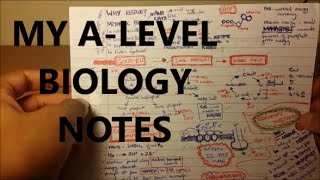 My Biology Notes  A Level  GCSE [upl. by Amo]