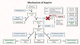 Why you should consider low dose statin therapy [upl. by Aivilys906]