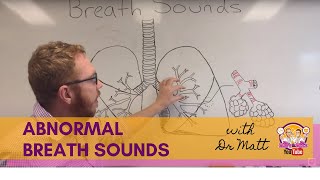 Abnormal Breath Sounds  Respiratory System [upl. by Anerrol357]