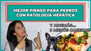 PIENSOS PARA PERROS HEPÁTICOS  MÁS 3 MENÚS CASEROS 🍳 [upl. by Hartzell]