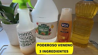 Veneno para Matar Cucarachas Moscas y Mosquitos 3 INGREDIENTES [upl. by Urban]