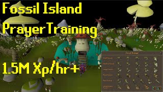 OSRS Fossil Island Prayer Training  15M XpHr [upl. by Kablesh209]