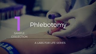 Phlebotomy [upl. by Aitan496]