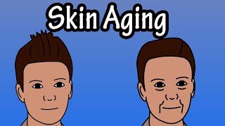 How Does The Skin Age  Skin Aging Process  Why Do We Get Wrinkles [upl. by Coleman727]