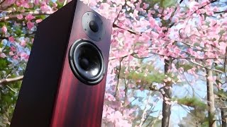 Totem Acoustic Hawk Review [upl. by Delanty574]