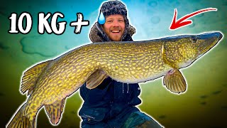 10 GIANT PIKE CAUGHT FROM ICE Dream Fishing  Team Galant [upl. by Omissam187]