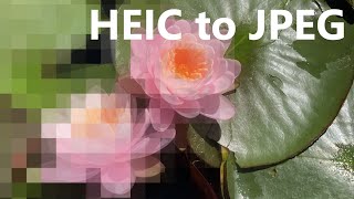 All About HEICHEIF Images How to Convert HEIC to JPG and How to Take JPEG Photos with iPhoneiPad [upl. by Thaddaus]