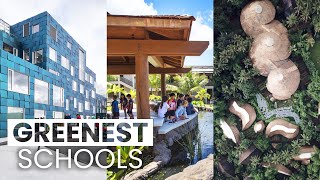 The Most EcoFriendly Schools  Green Schools Around the World [upl. by Antonina]