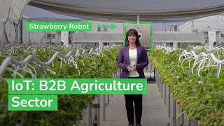 IoT Powering the Digital Economy  The B2B Agriculture Sector  Schneider Electric [upl. by Adnawat732]